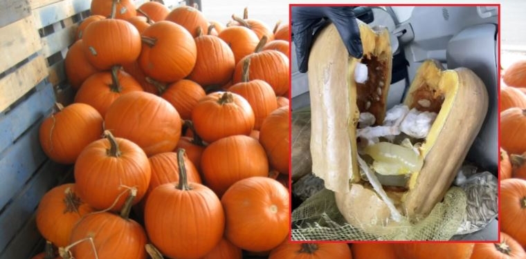 Balkabağına uyuşturucu sakladılar, gümrükte yakalandılar