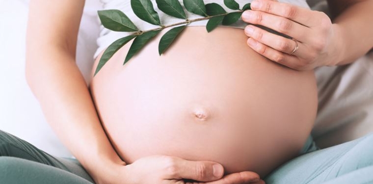 Gebelik döneminde annede ne gibi değişimler olur?