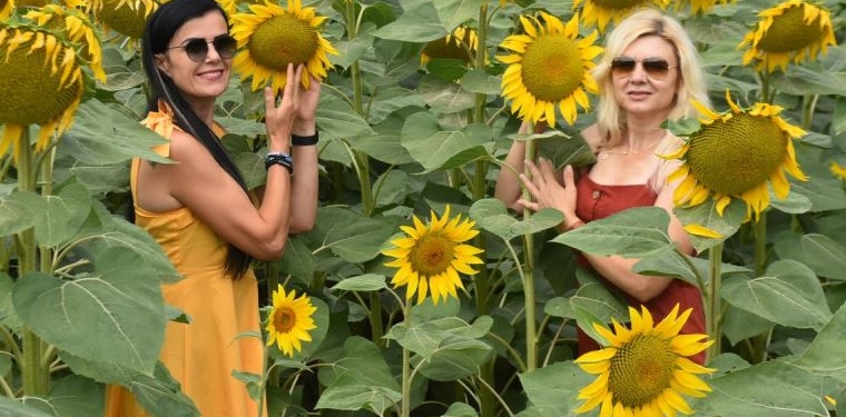 ‘Türkiye ayçiçeği yağı ihtiyacını karşılayabilir, ihraç da edebiliriz’